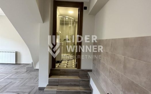 Zvezdarska šuma novogradnja