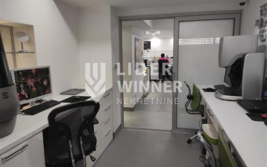 Stan/poslovni prostor – renoviran