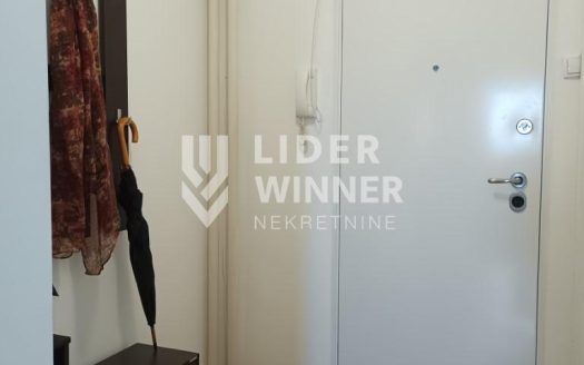 2.0 stan, Dr Ivana Ribara, renoviran