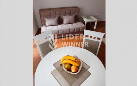 Centar – odličan za rentu