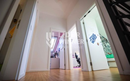 Hitna prodaja, Zemun-Zelena avenija, lux dupleks