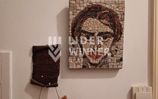 Neverovatna ponuda, Zemun