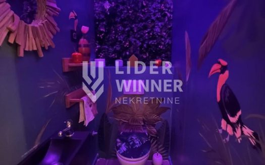 Spektakularan stan u centru grada, retko