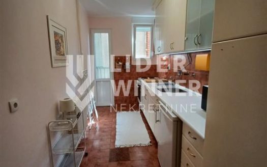 Stan u centru Vračara